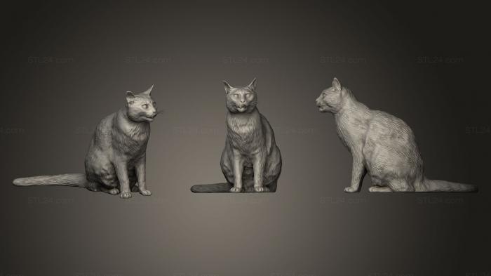Статуэтки животных (Рыжий кот 21, STKJ_0417) 3D модель для ЧПУ станка
